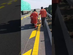 Vernici termoplastiche